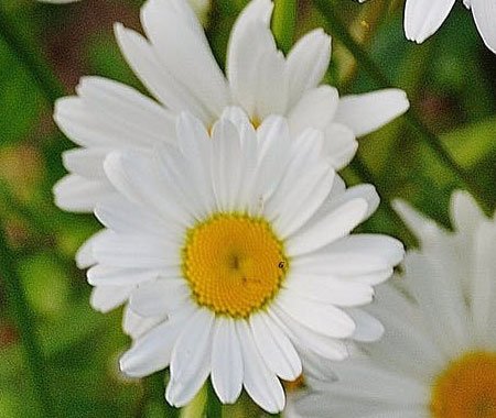 Gallery gallery 2.jpg