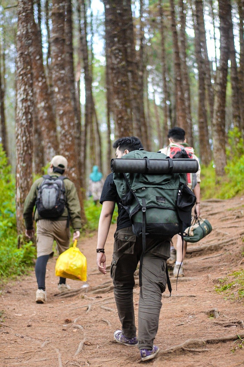 hikers, hiking, forest, mountain, nature, men, landscape, trail, woods