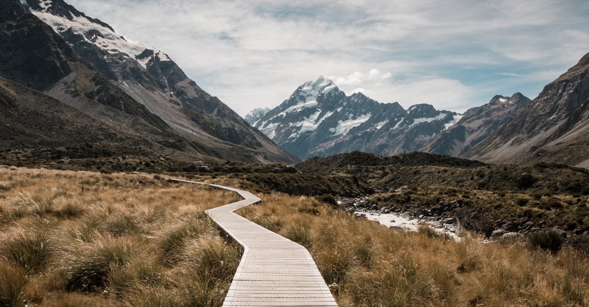 Gallery Wooden walkway leads through rugged landscape towards majestic snow-capped mountains.