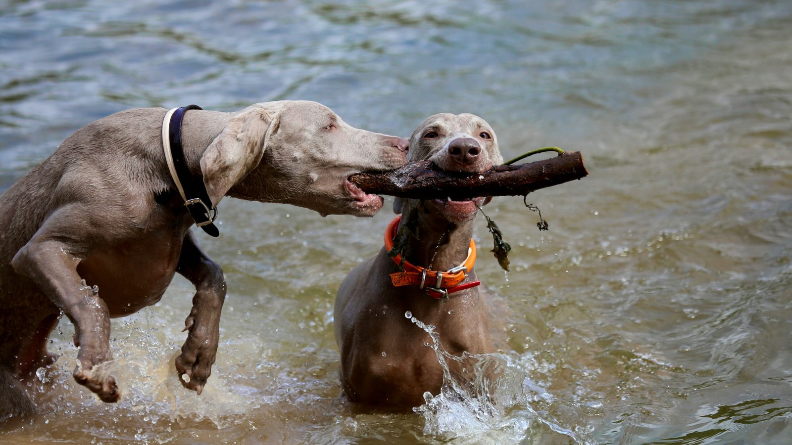 Gallery nathalie spehner kxvrp69ibcy unsplash