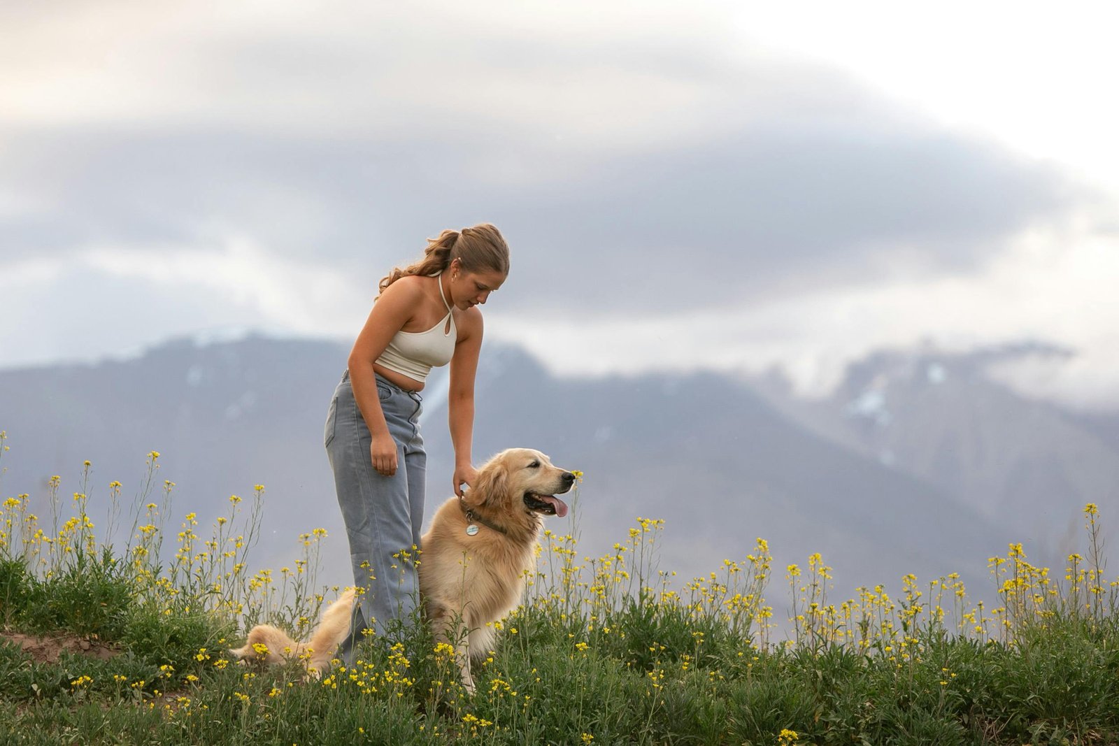 Gallery pexels lilen diaz 1025474869 29319219