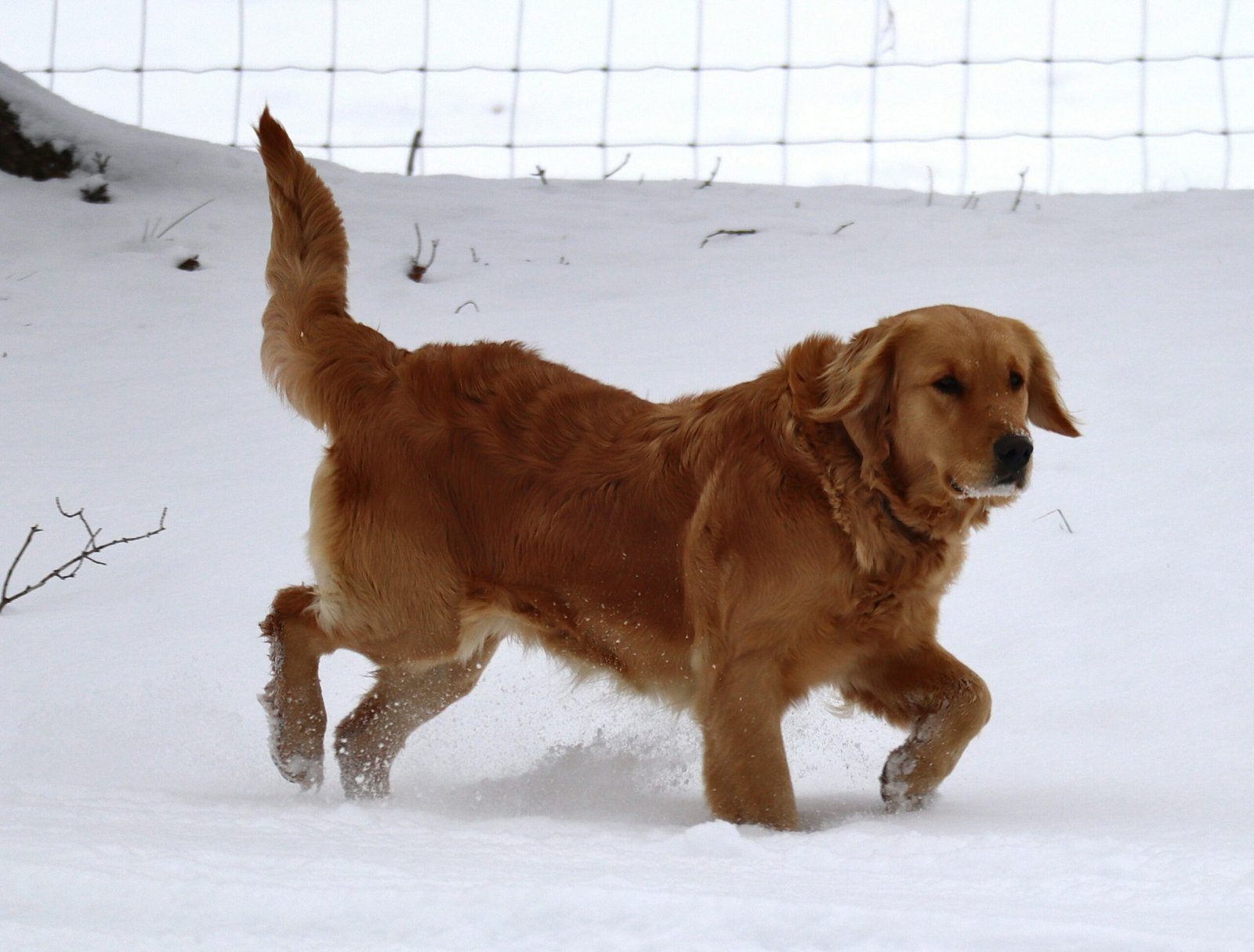 rebecca johnsen dwpm7tg ni0 unsplash