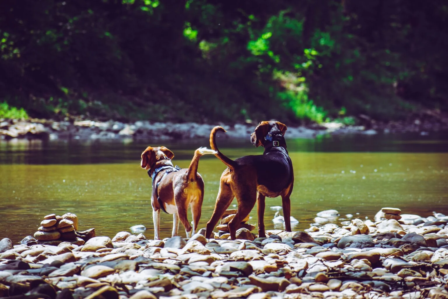 pexels-photo-1144410-1144410-1536x1024