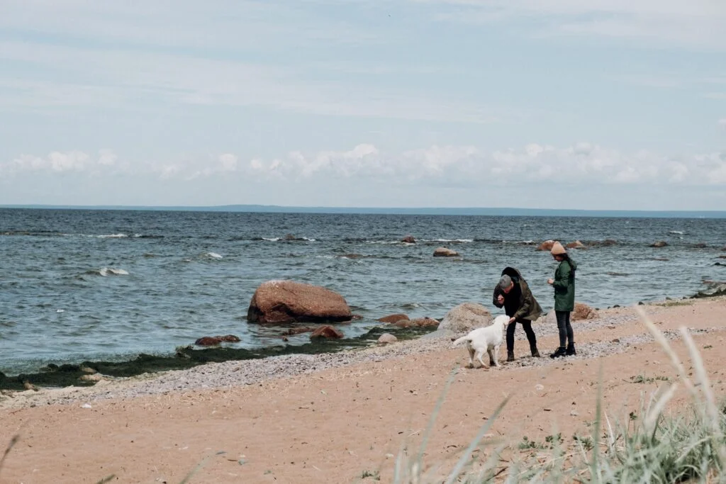 pexels-photo-5079187-5079187-1024x683