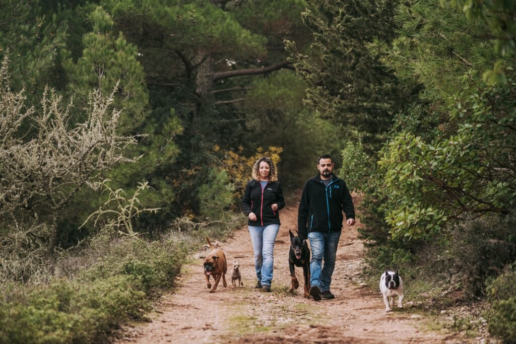 A couple walks their dogs on a forest path, enjoying a peaceful day outdoors.